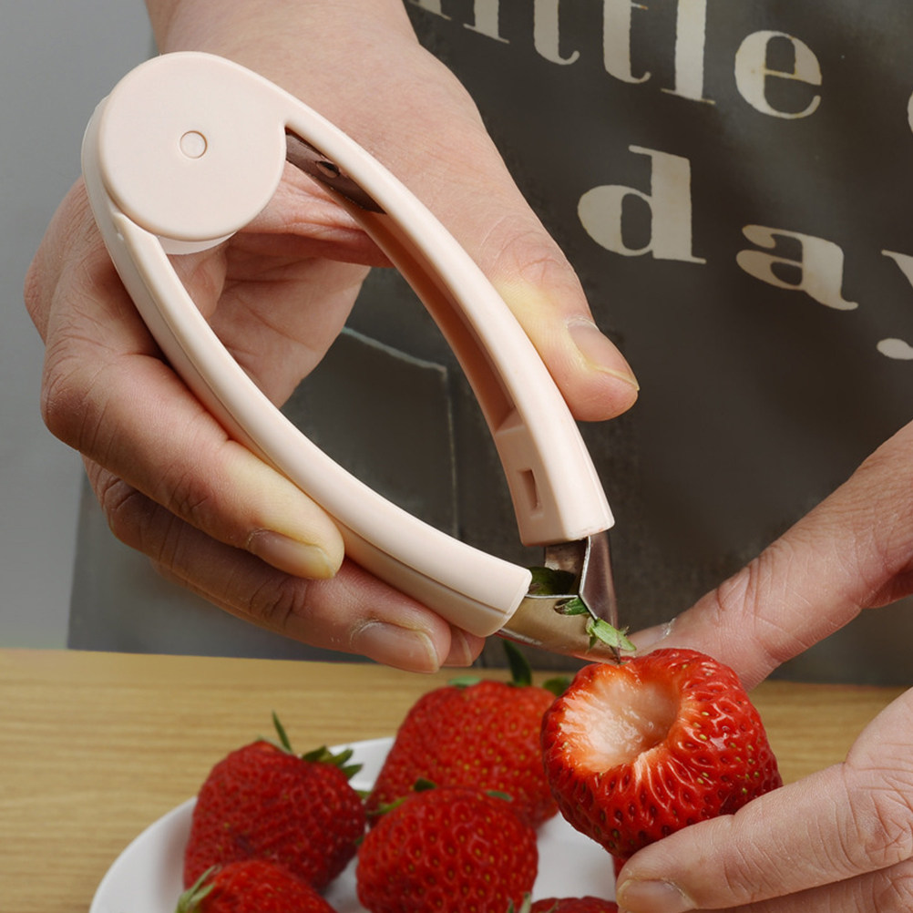 Sturdy Pineapple Core Remover  - Kitchen Gadgets And Tools review and price