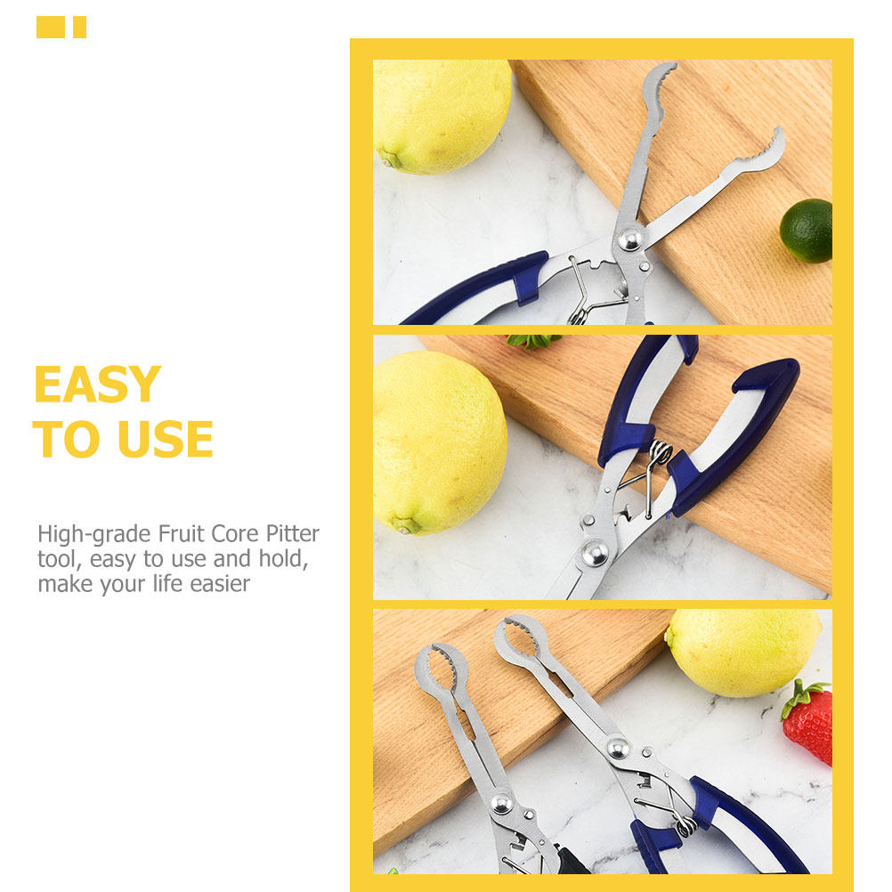 Hawthorn Core Remover Tool Por - Kitchen Gadgets And Tools review and price